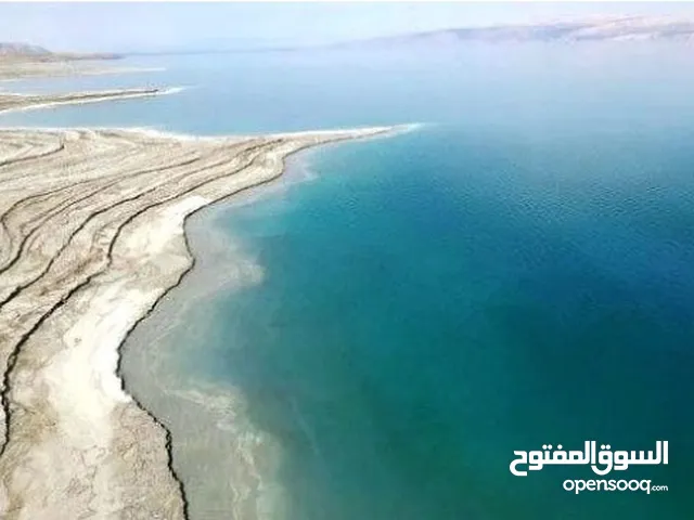 البحر الميت استثمارك الآمن للمستقبل (سويمة، الجلد، العظيمي، منطقة الفنادق) من المالك مباشرة