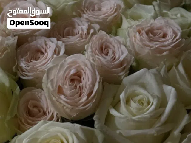 صالون اطلاله بحريه مع كافة المعدات