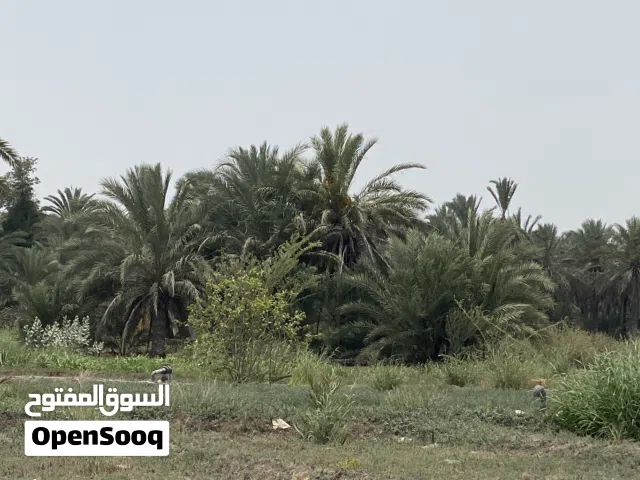 شركه عقاريه رائده في مجال بيع وشراء العقارات