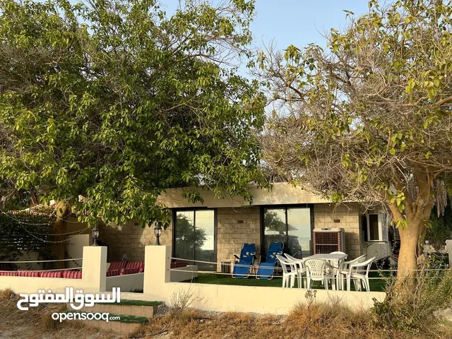 شالية البلاج