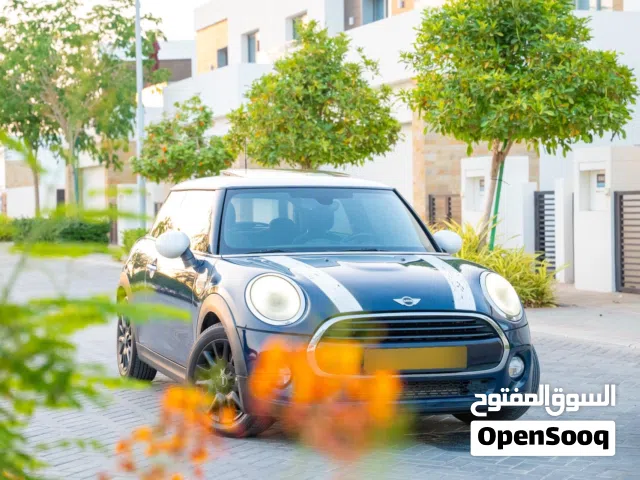 2018 ميني اخرى