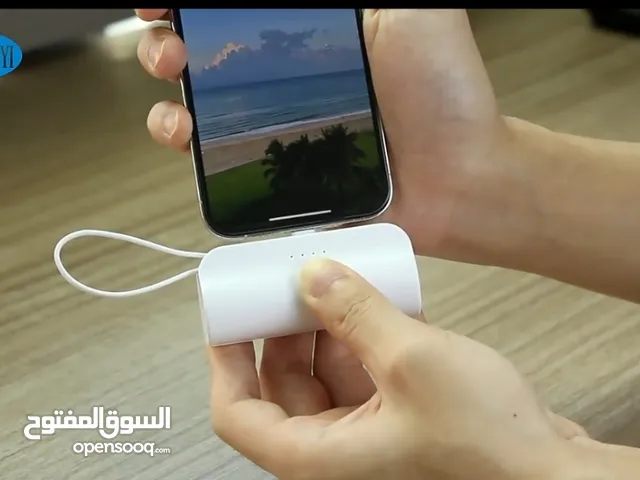 بور بنك (شاحن)