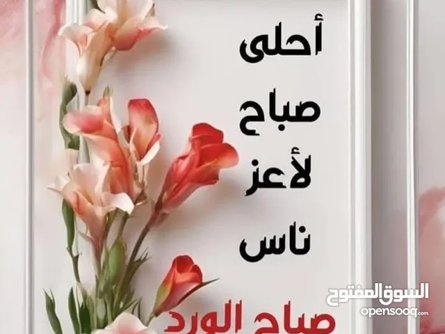 محل للايجار