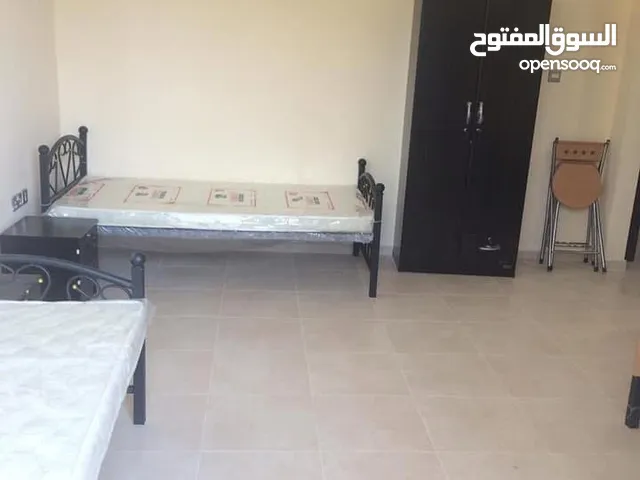 أفضل سكن مشترك للعرب في العين بنات . شباب