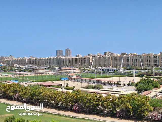 شقة فاخرة للإيجار 225م اول سكن ( سموحة شارع النقل والهندسة - برج براند) 45,000ج