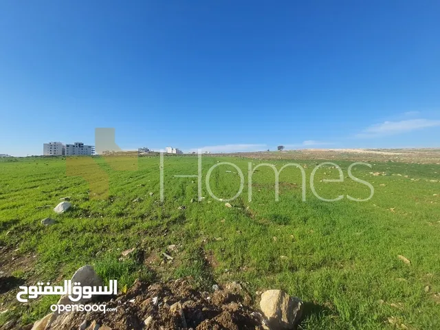 Residential Land for Sale in Amman Hjar Al Nawabilseh