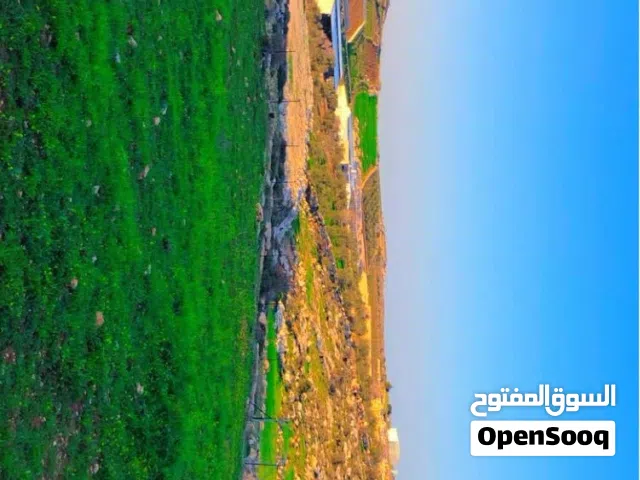 ارض في بيت اولا