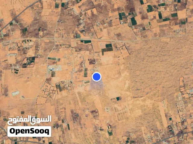 Farm Land for Sale in Tripoli Qasr Bin Ghashir