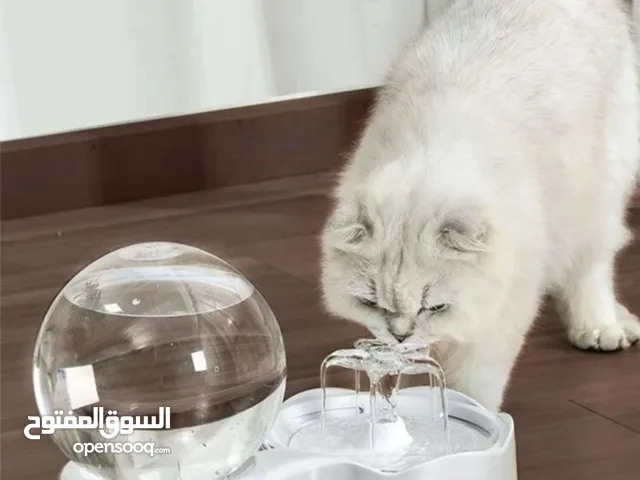 نافورة مياه للقطط