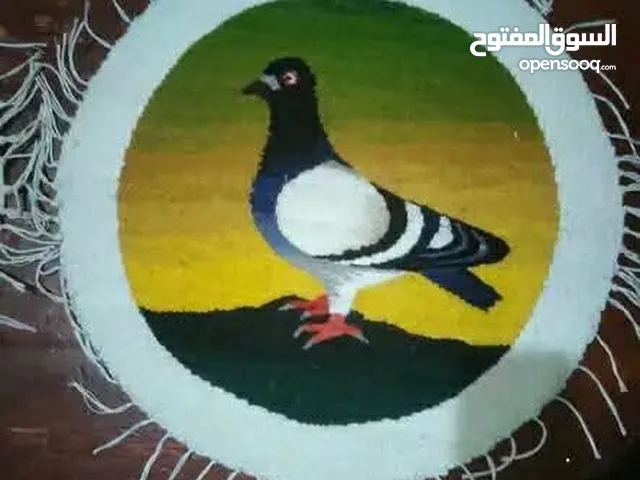 سجاد جبلان يدوي