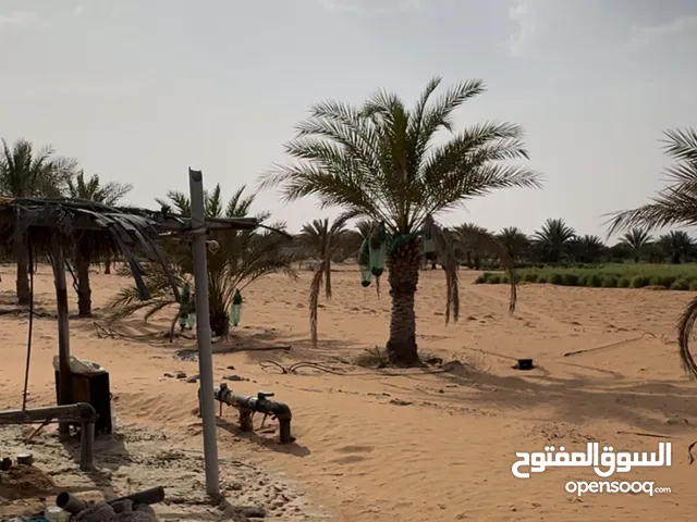 Mixed Use Land for Sale in Al Ain Other