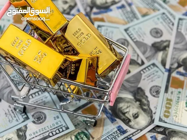 هل تبحث عن فرصة استثمارية حقيقية
