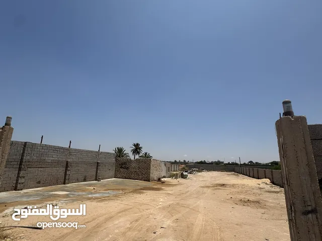Commercial Land for Rent in Misrata Tamina