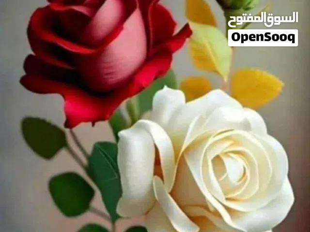ثلاث دجاجات وديك للبيع في جبل النصر