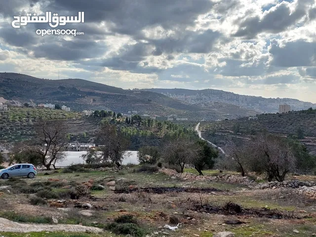 نمرة ارض للبيع في اجمل منطقة في نابلس عصيرة الشمالية ذات اطلالة رائعة على مدينة نابلس
