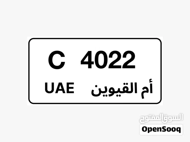 للبيع لوحه ام القيوين