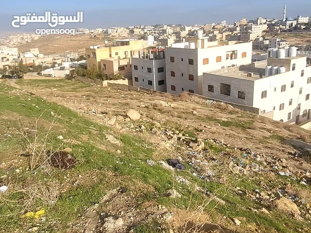Residential Land for Sale in Amman Al-Marqab