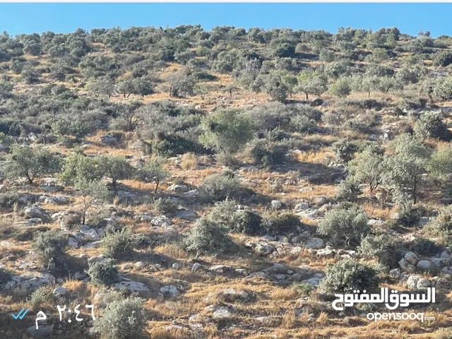 Residential Land for Sale in Ramallah and Al-Bireh Bil'in