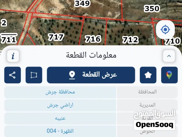 ارض للبيع جرش عنيبه