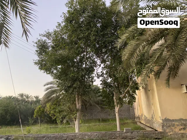 1 Bedroom Farms for Sale in Muscat Quriyat
