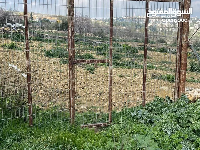 Farm Land for Sale in Hebron Halhul