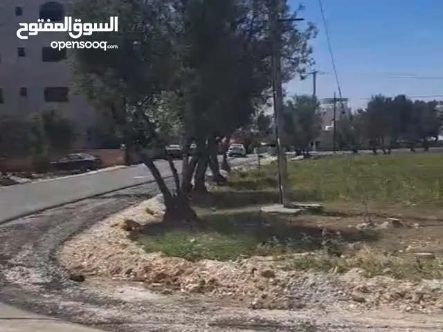 دونم ارض من اراضي ناعور على شارعين من المالك مباشرة