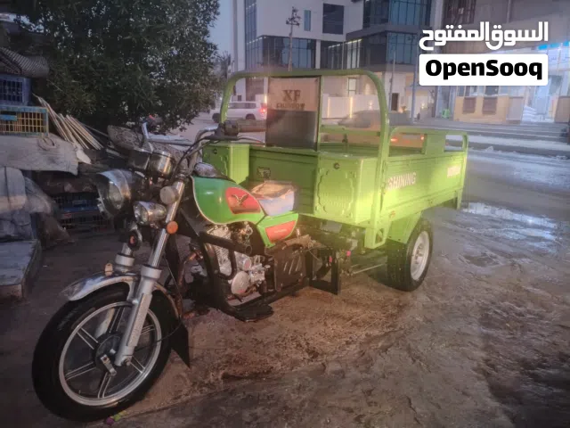 ستوته كربلائيه مديل 2023 طالعه 2025