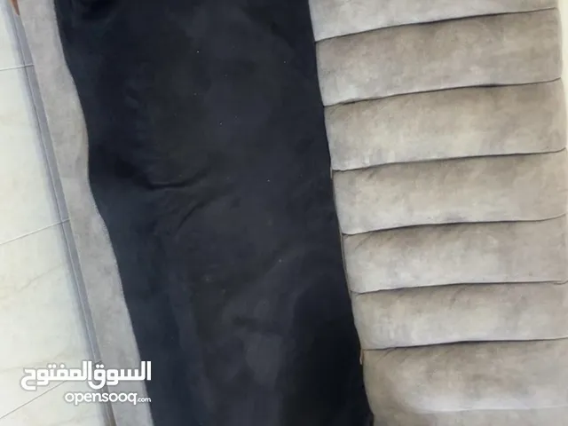 كلهم بـ1500
