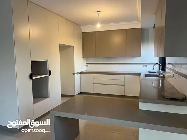 شقه فارغة للايجار في المصيون قرب فندق الملينيوم  لم تسكن من قبل