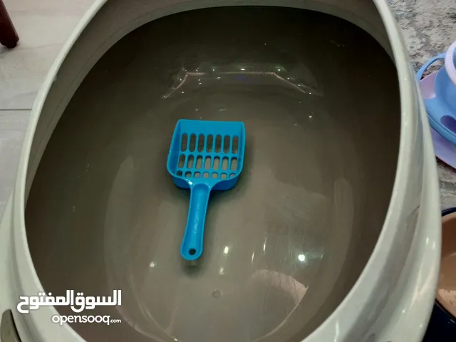اغراض ومستلزمات قطة