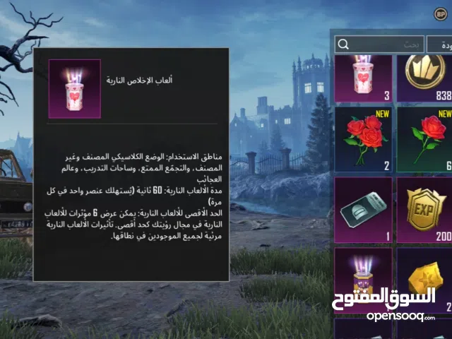 Pubg Accounts and Characters for Sale in Qadisiyah