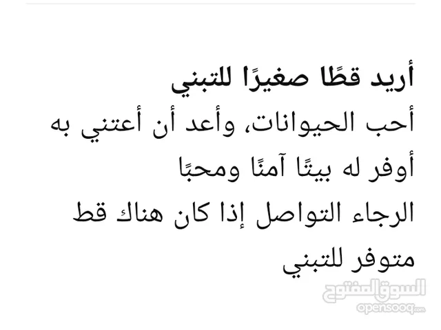 قطط للتبني