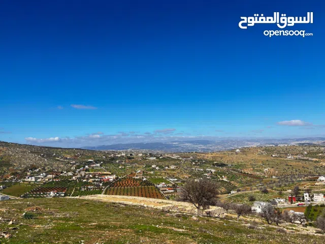 Farm Land for Sale in Zarqa Sarout