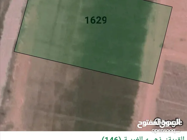 Farm Land for Sale in Amman Rujm ash Shami