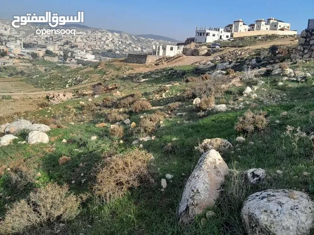 Residential Land for Sale in Jerash Al-Hashimiyyah