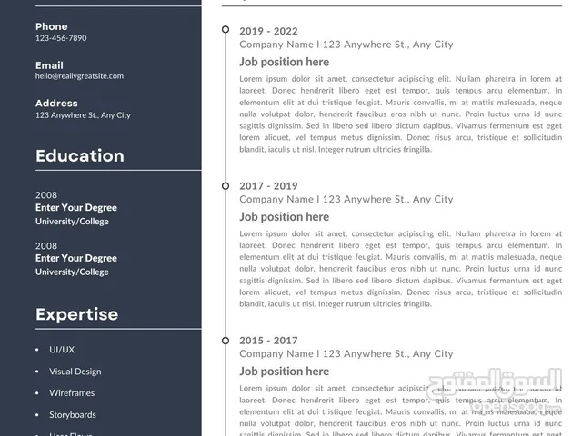 عمل cv - سيرة ذاتية احترافية فقط ب 1 دينار