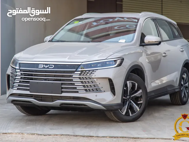 2025, بي واي دي, سيل