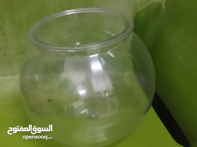 حوض سمك صغير مع حجارة واصداف وكيس طعام للاسماك..