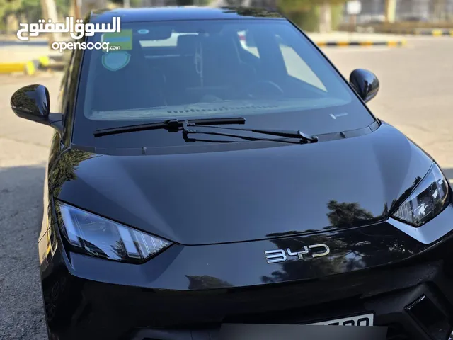 BYD Seagull 2024