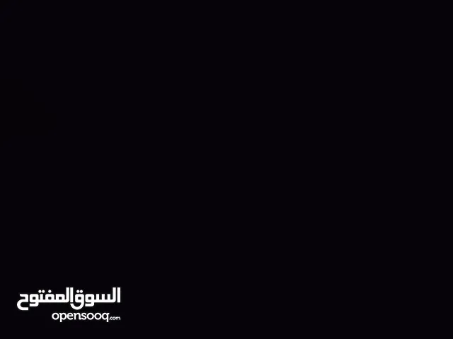 زين مبروكة