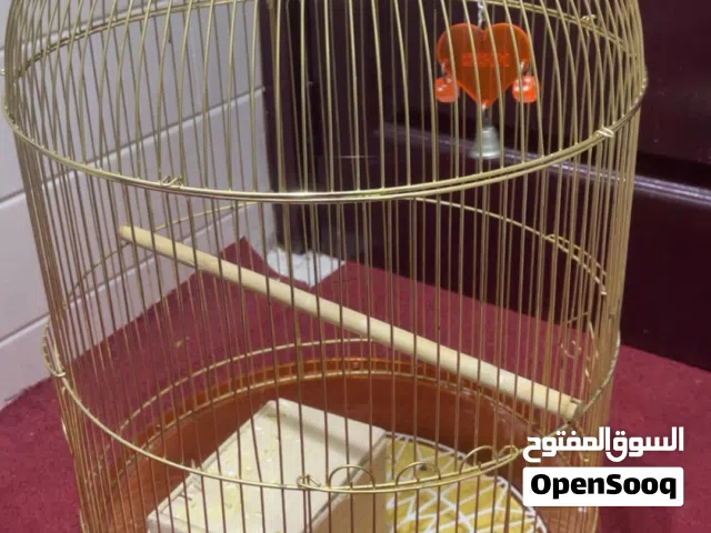 قفص للطيور المتوسطه والكبيره