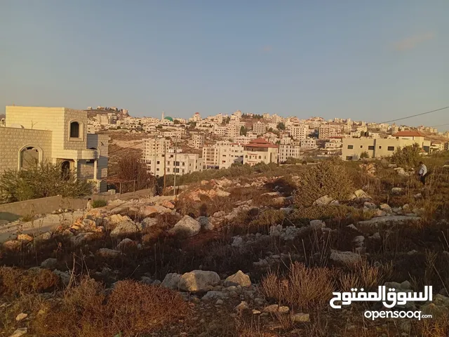 ارض في أرقى أحياء مدينة نابلس حي العمدان