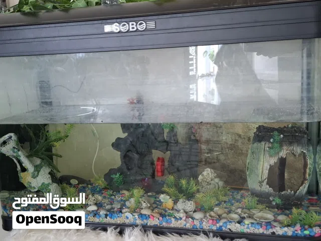 حوض أسماك بكامل ملحقاته