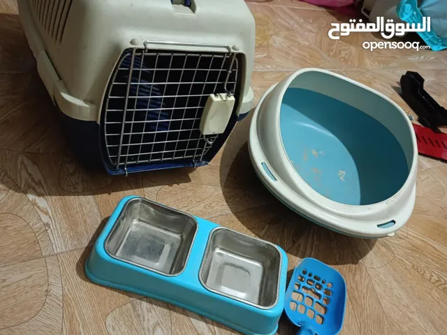 مستلزمات قطط للبيع بسعر حررق