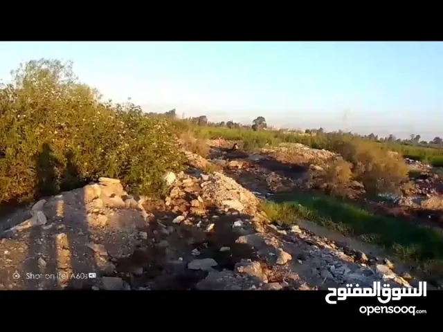 Residential Land for Sale in Mansoura El Magzer