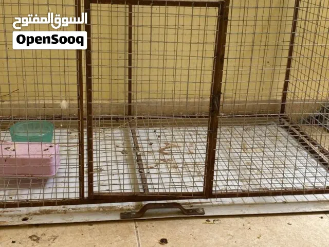 قصف جديد مناسب لادجاج ولبط