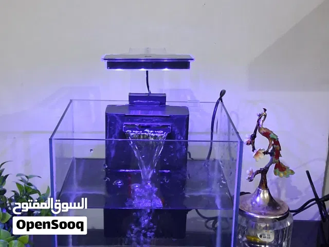 حوض أسماك نظيف للبيع