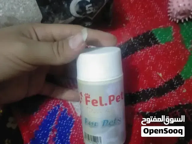 اكسسوارات كلاب