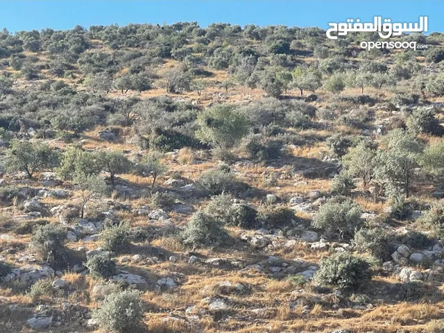 Farm Land for Sale in Ramallah and Al-Bireh Dayr Ghasana