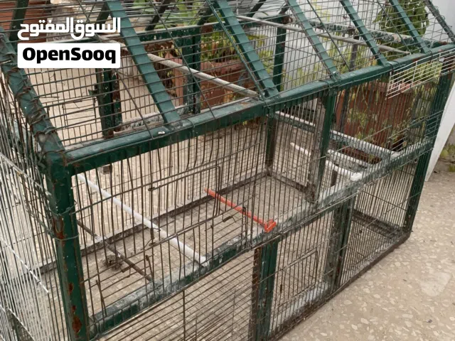 مطير للبيع مع قاعدته الها عجال 25 من الاخر